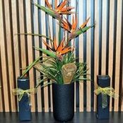 Pbe Wonthaggi's photo