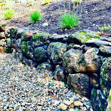 Orinda Oak Forest Landscape and Lighting
