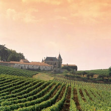 Elixir: Vineyard