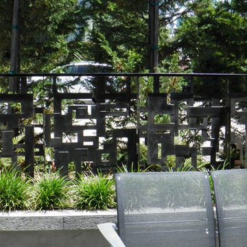 Residential Creative Steel Barrier and gates