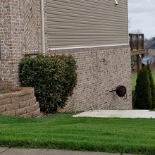 Frogtown Brick Ideas