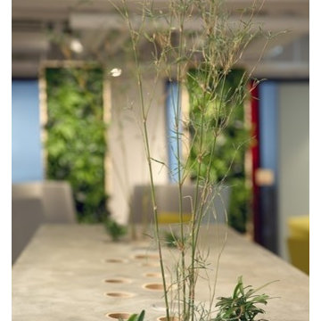 Urban Serviced Offices