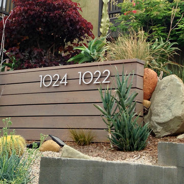 Conscious Stream Scape- Silverlake