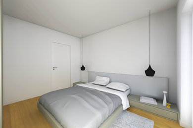 Photo of a mid-sized contemporary master bedroom in Strasbourg with white walls.