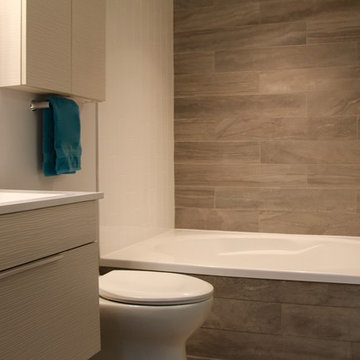 Plateau Bathroom Renovation