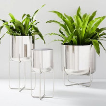 plants/plantets