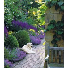 Bowman Landscape Inspiration