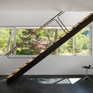 Shou Sugi Ban House