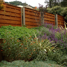 Fence