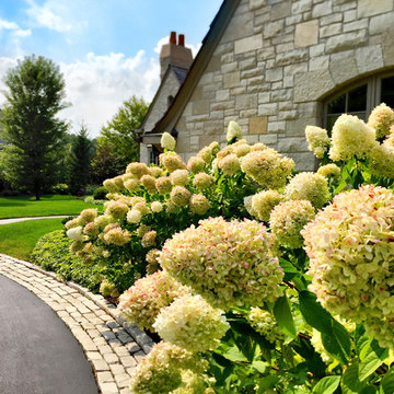 Lake Forest English Country - Terrace and Landscape