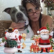 Donna Gargani's photo