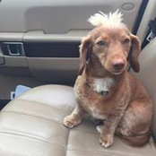 Sabrina Cook's photo
