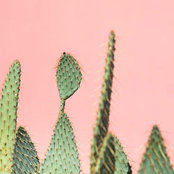 Jessica Bodas's photo