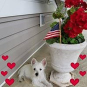 Barbara Spencer's photo