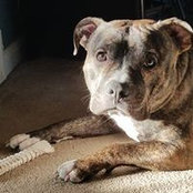 Bruce McPheeters's photo