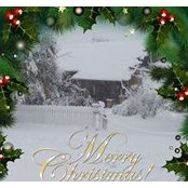 Anne Jarden's photo