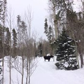 Melissa Bryant's photo