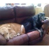 Steve Katz's photo