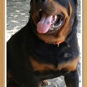 Rhonda Sites's photo