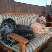 Sarah Middleton-Benson's photo