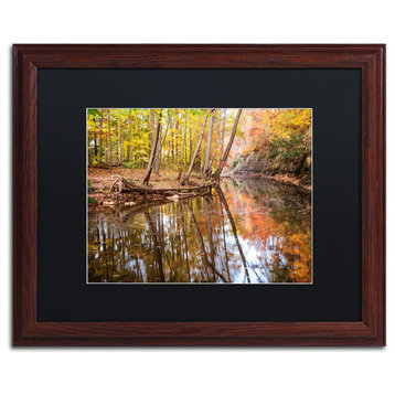 Jason Shaffer 'Beaver Creek 1' Matted Framed Art, Wood Frame, Black Mat, 20x16