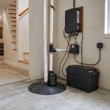 Sump Pumps & Battery Backups