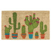 DII Cactus Doormat