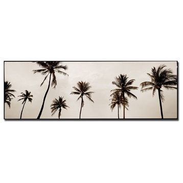 'Black & White Palms' Canvas Art by Preston