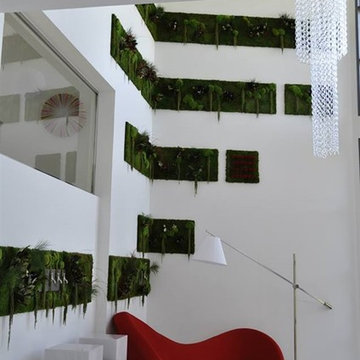 Maintenance-Free Wall Gardens