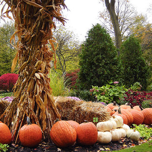 Réalisation d'un jardin avant tradition l'automne et de taille moyenne avec une exposition ensoleillée.