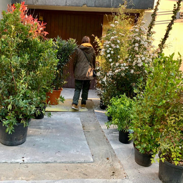 Création de Jardin