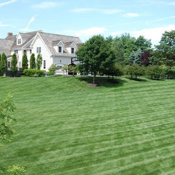 Overseeding - Products