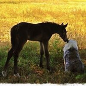 Carmen Barrera's photo