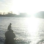 Roxanne Cirelli's photo