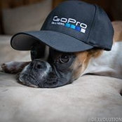 Gary Walters's photo