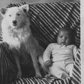 Foto di Ted Mattison