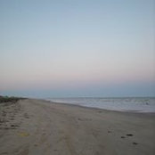 Martha Stephenson's photo