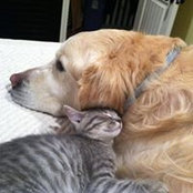 Joanna Dinolfo's photo