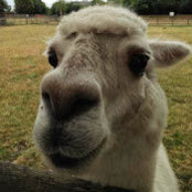 wei shao's photo