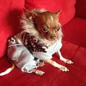 Maria Cuartas's photo