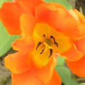 Helen Hodder's photo