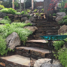 Steps And Patio