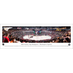 Philadelphia Eagles 2018 Super Bowl Champions Panoramic Art Print -  Panorama Wall Decor - NFL - Blakeway Panoramas