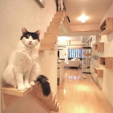 K邸ねことりびんぐ
