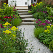 Garden Tour: An Urban Plot is Reinvented as a Wildlife Haven