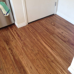 Petrified Strand Eucalyptus - Products