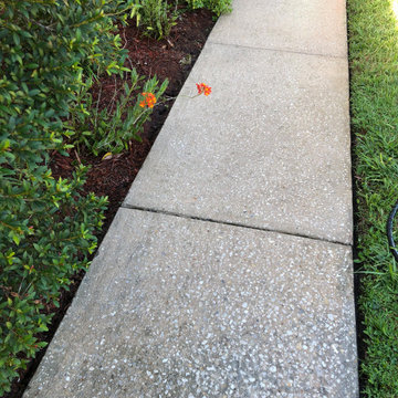 Pressure Washing