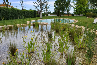 Ejemplo de piscina natural rural grande a medida en patio con privacidad y adoquines de piedra natural