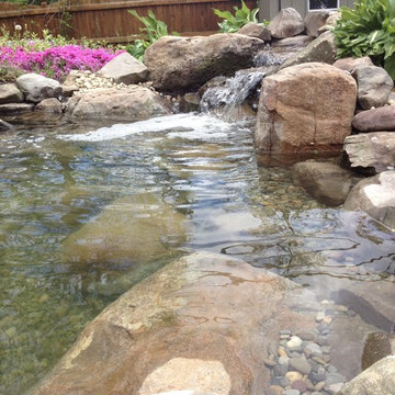 Backyard Fish Pond Installation
