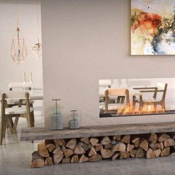 EcoSmart Fire Flex Fireplace Insert